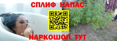 бошки Новозыбков