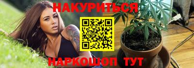 дмт Новодвинск