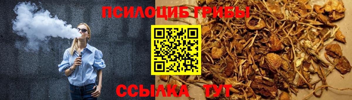 Сосновоборск  Галлюциногенные грибы Magic Shrooms  Вход с VPN 